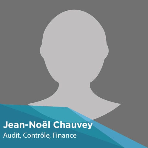 Jean-Noël Chauvey - Enseignant-Chercheur - Montpellier Management