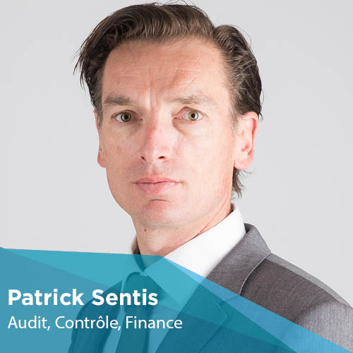 Patrick Sentis - Enseignant-Chercheur - Montpellier Management